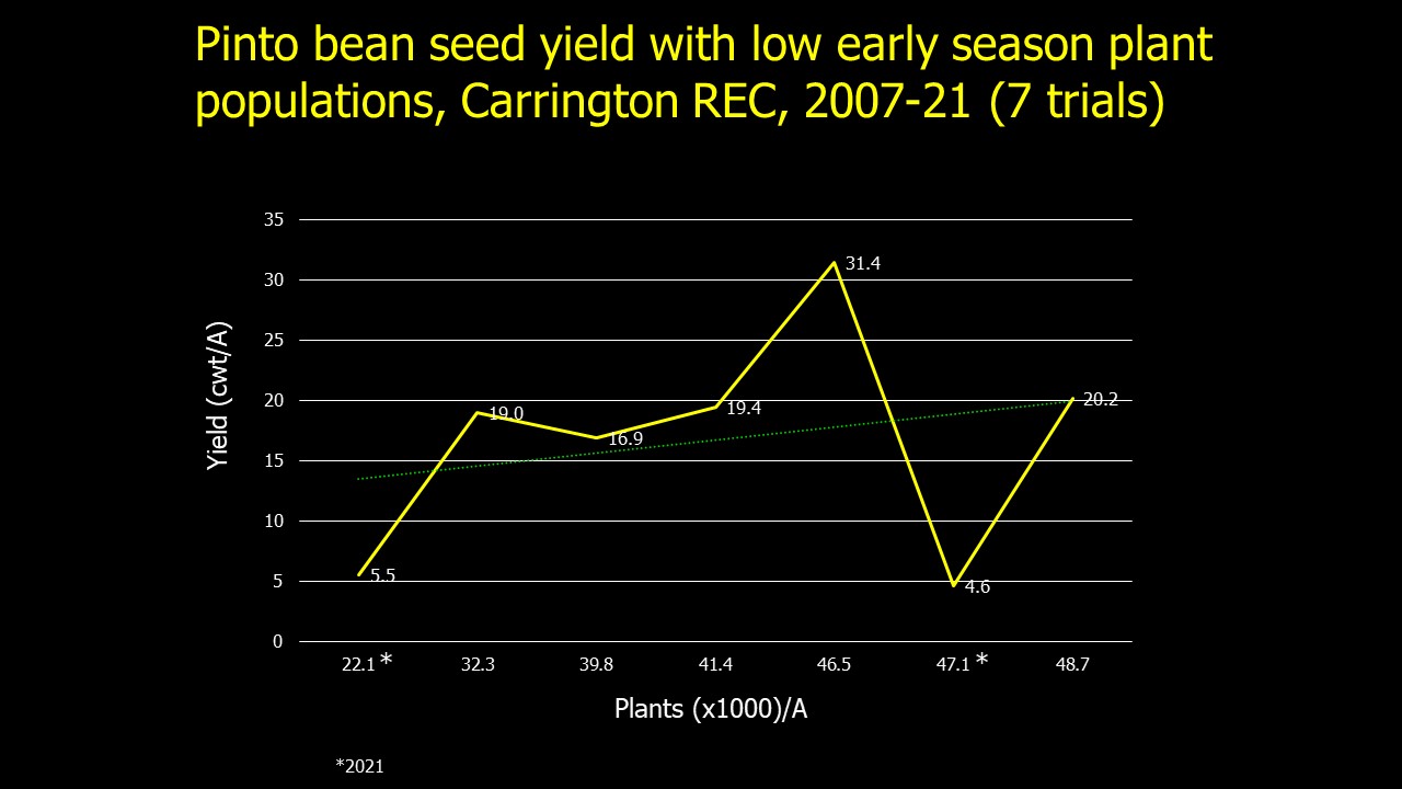 Pinto Bean Plant Populations and Row Spacing NDSU Agriculture